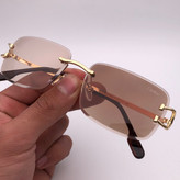 عینک فتوکرومیک از Cartier
