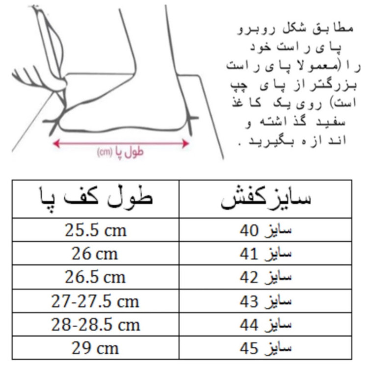 کفش کشتی مردانه مدل رودیس کد C-8433