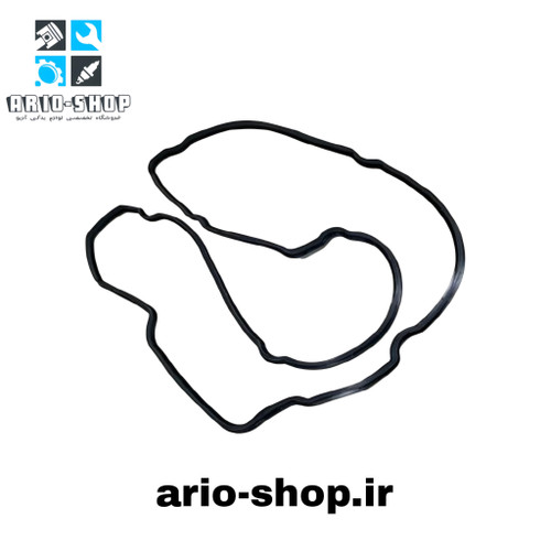 واشر درب سوپاپ آریو